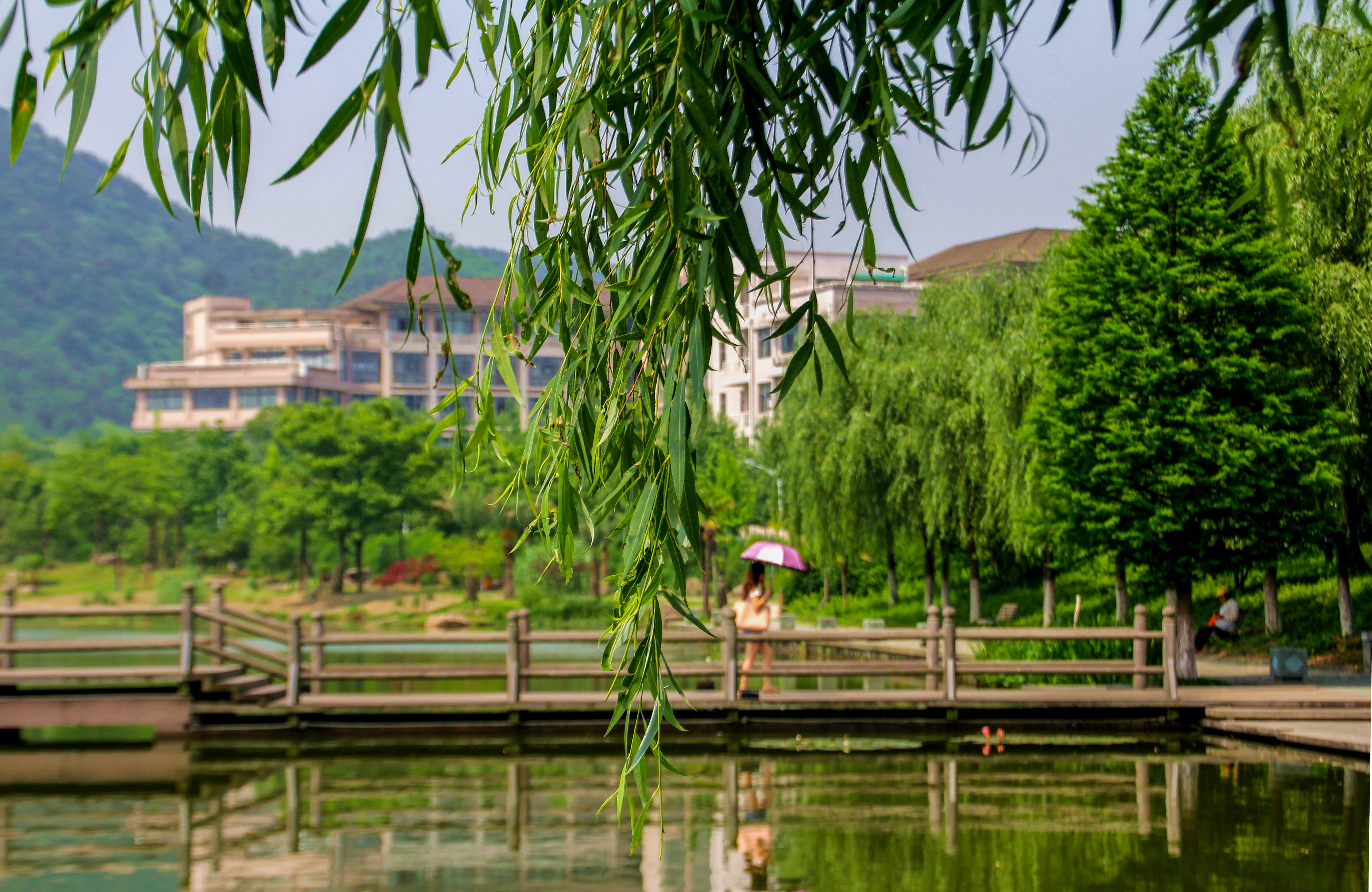 校园风光-浙江农林大学