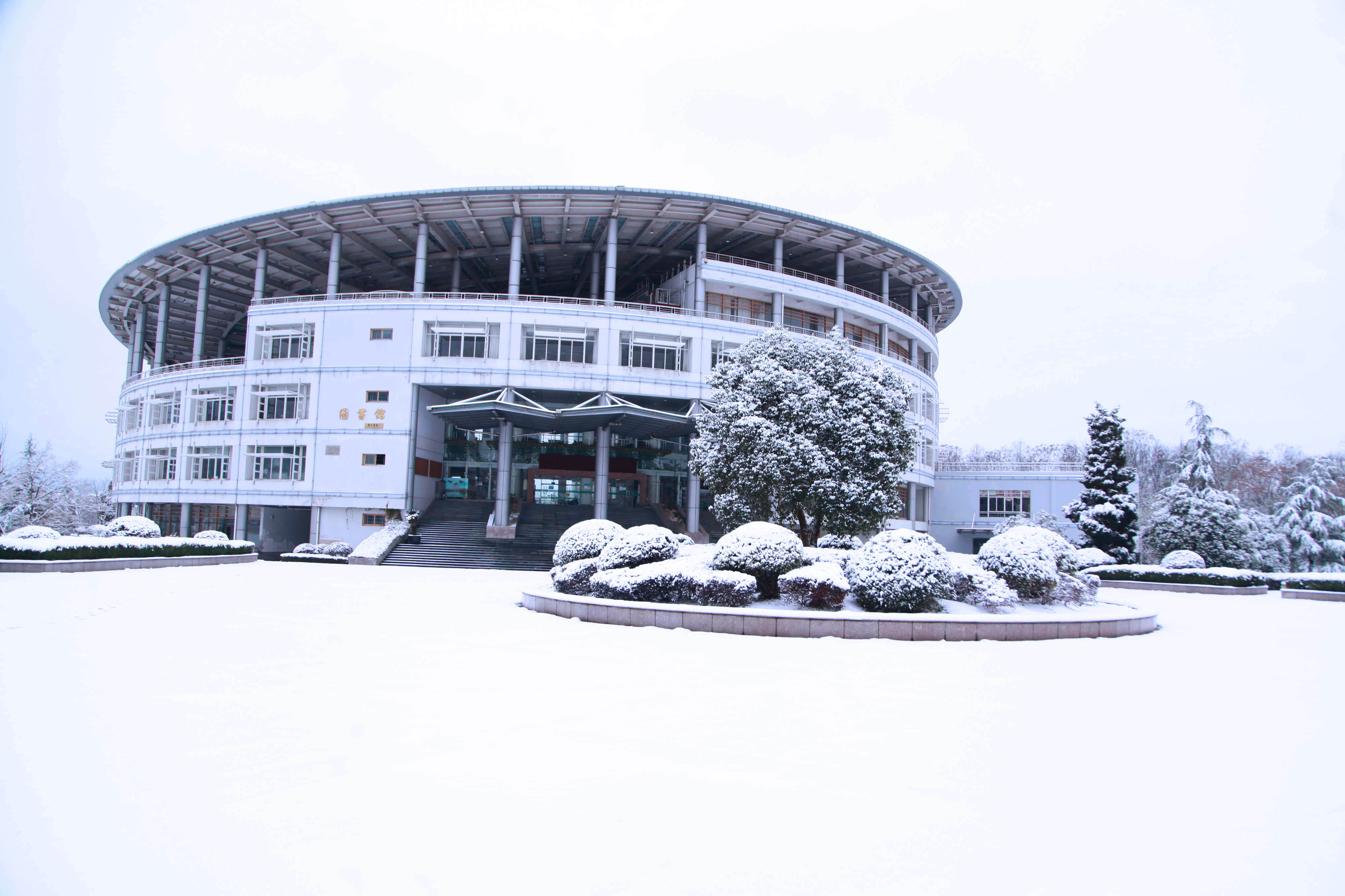 人民网:大学校园成雪园 怎一个美字了得-浙江农林大学