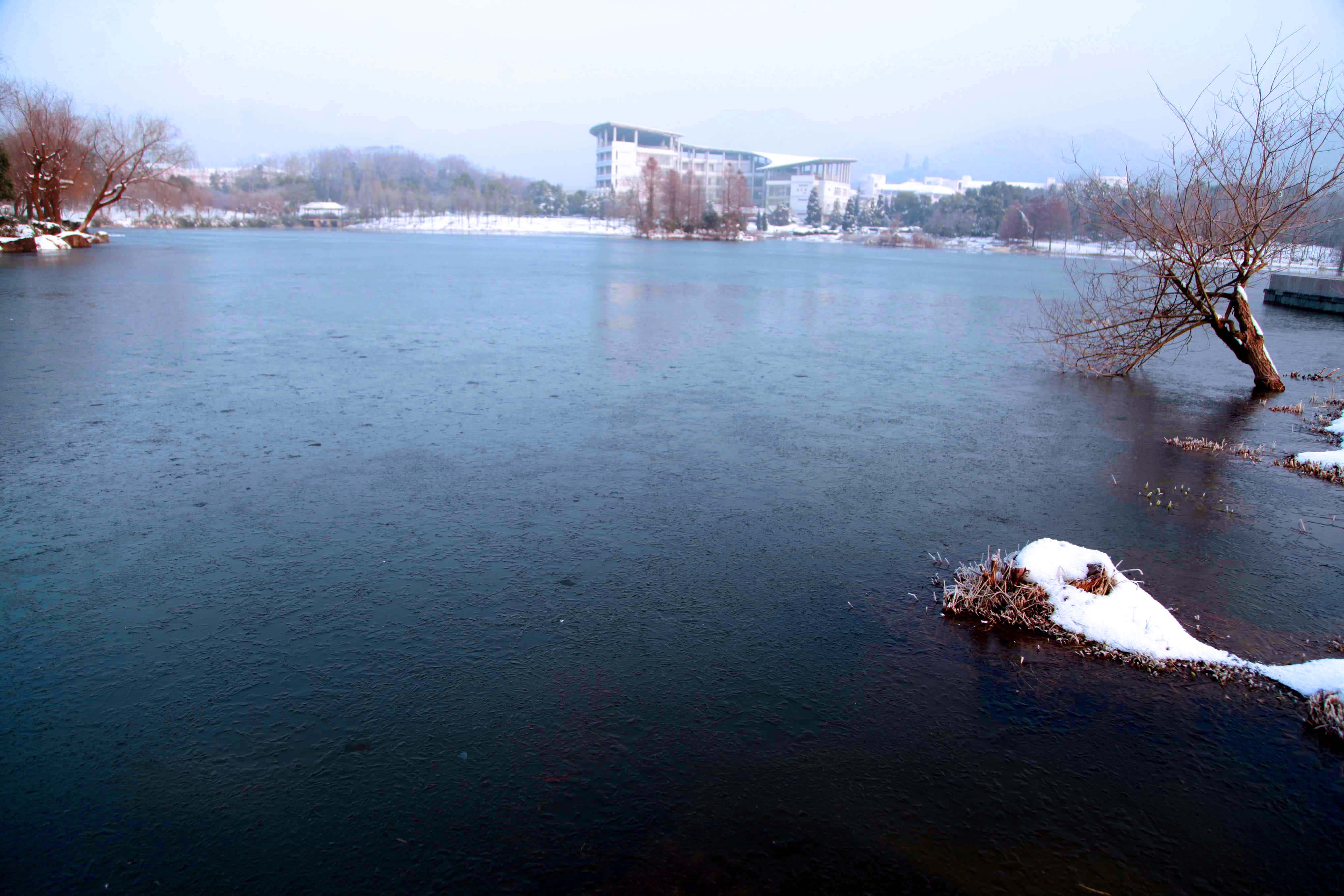 新浪网大雪初霁浙江农林大学东湖校区格外美丽