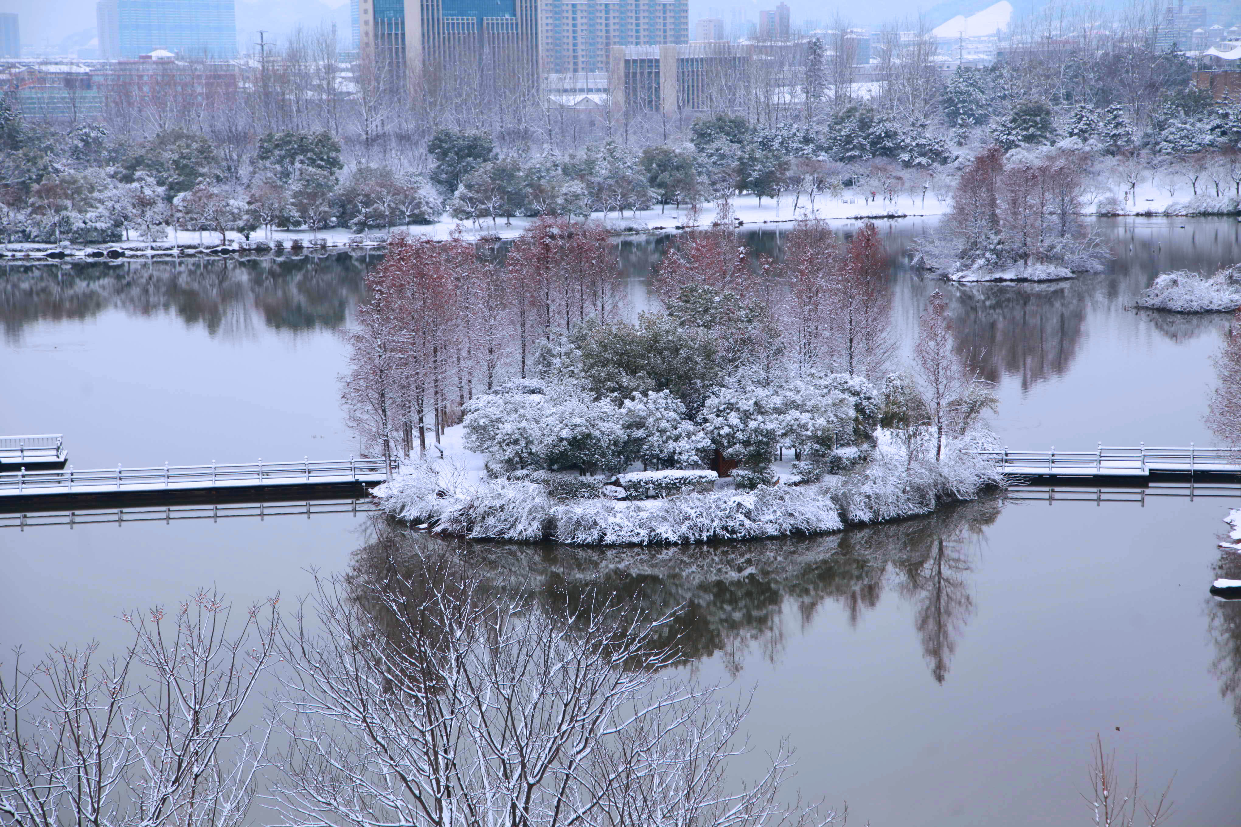 人民网:大学校园成雪园 怎一个美字了得-浙江农林大学