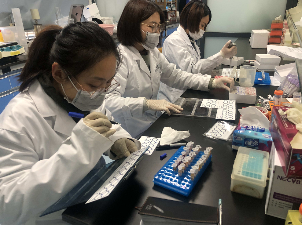举办培训40多场 检测样品42000多份 浙江农林大学兽医学科党员主动请战为亚运会马术比赛提供技术保障 举办培训40多场 检测样品42000多份 浙江农林大学兽医学科党员主动请战为亚运会马术比赛提供技术保障