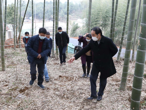 浙农林大教师把科研论文“写”在春耕大地上 屏幕快照 2020-03-03 下午6.57.02