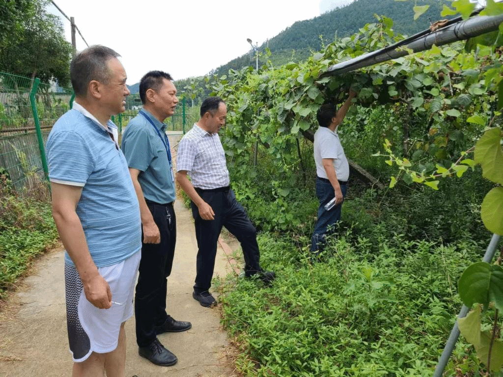 【暑期记忆·科技特派员篇】在助力乡村振兴中展现新担当新作为