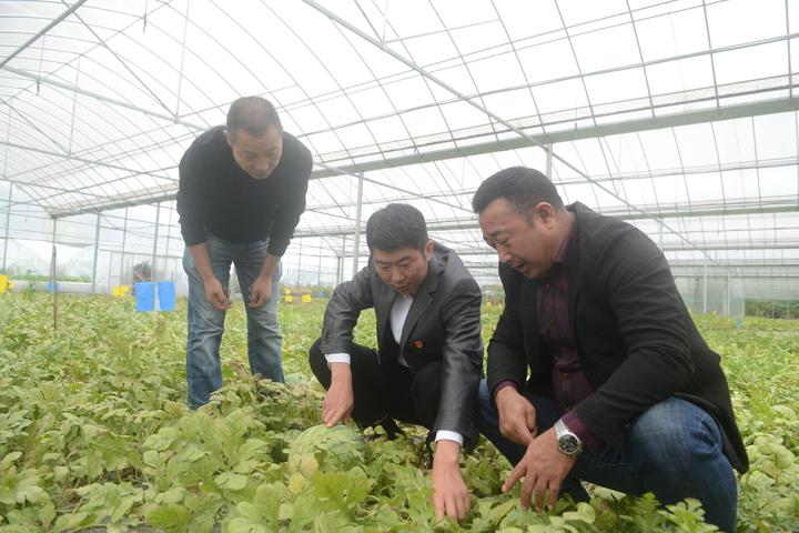 微信图片_20191105111339.jpg 微信图片_20191105111339.jpg