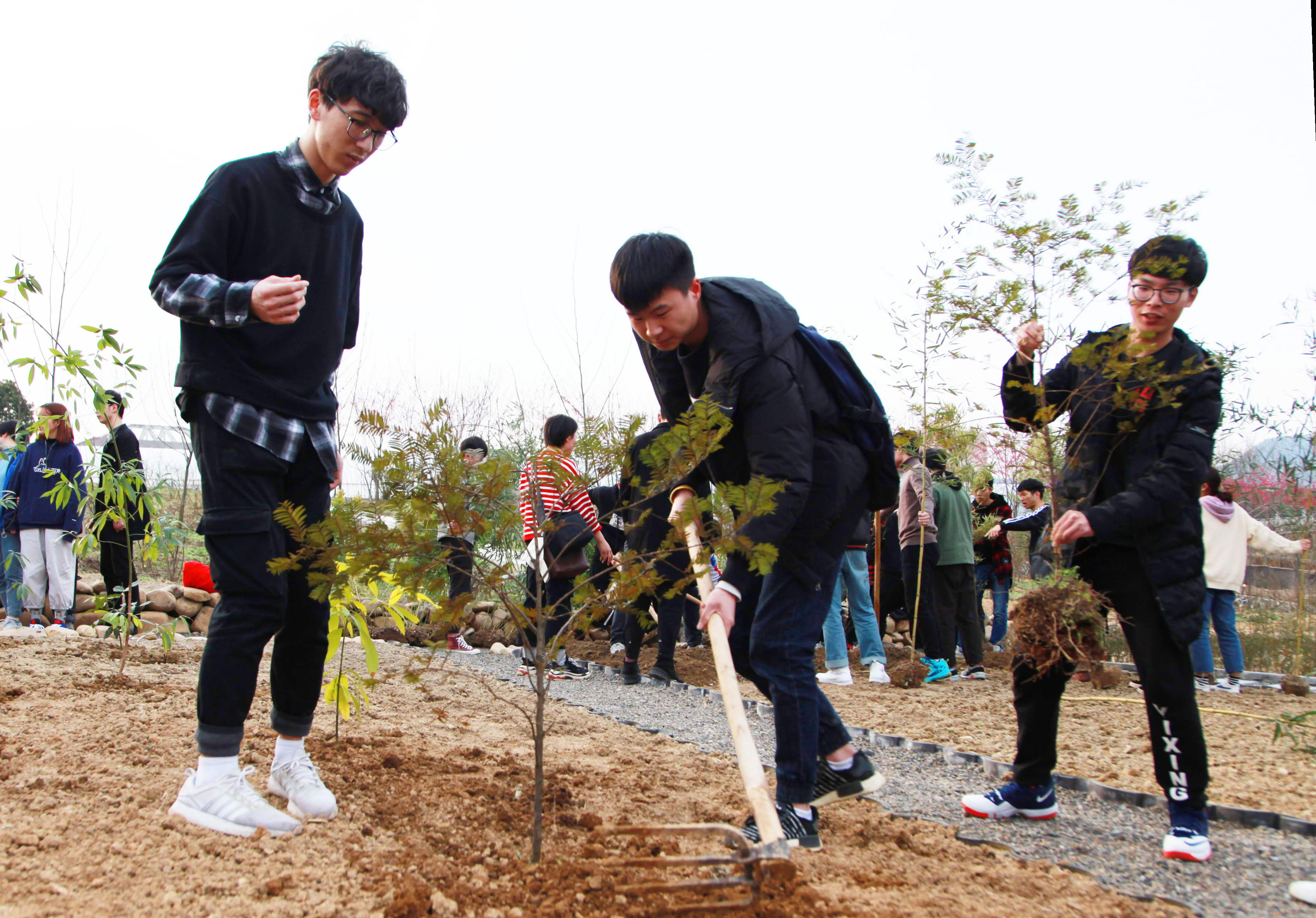 相约春天，共植希望！郑州高新区实验小学开展植树节主题实践活动-大河新闻