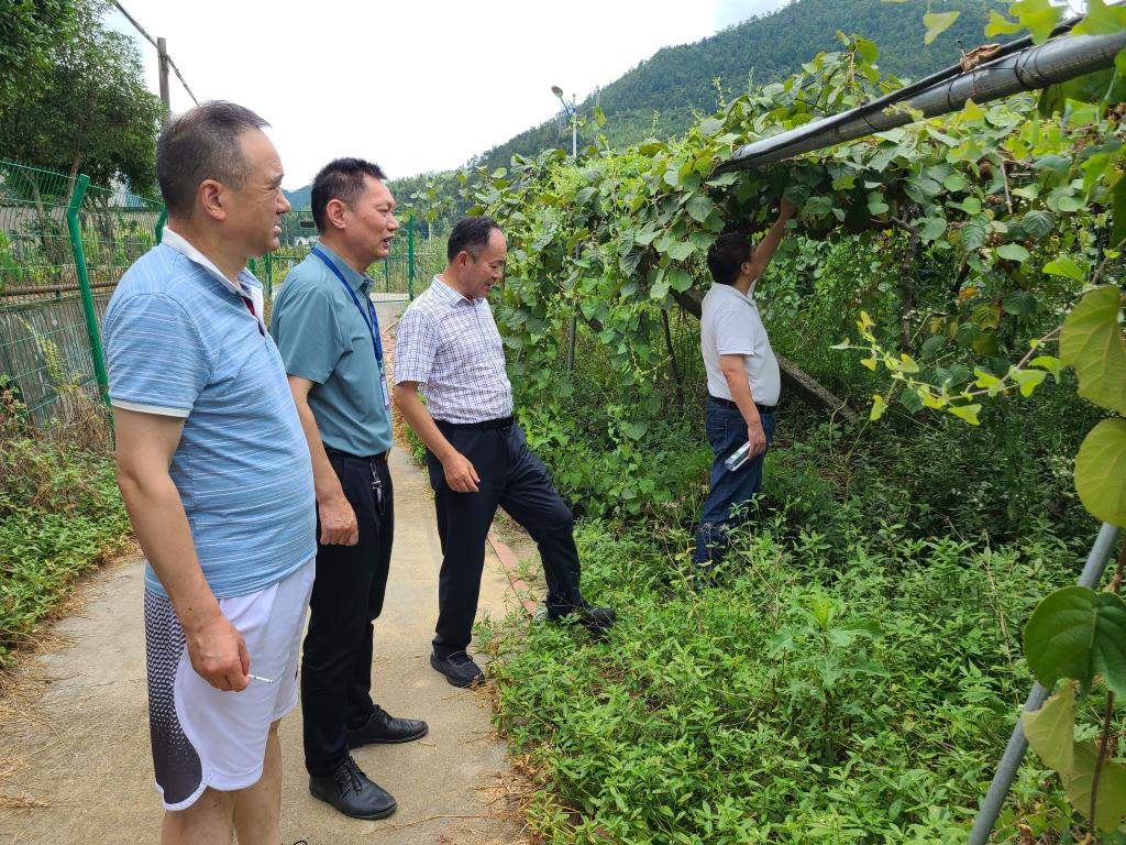 【暑假记忆·社会服务篇】师生科技助力浙江山区26县乡村全面振兴