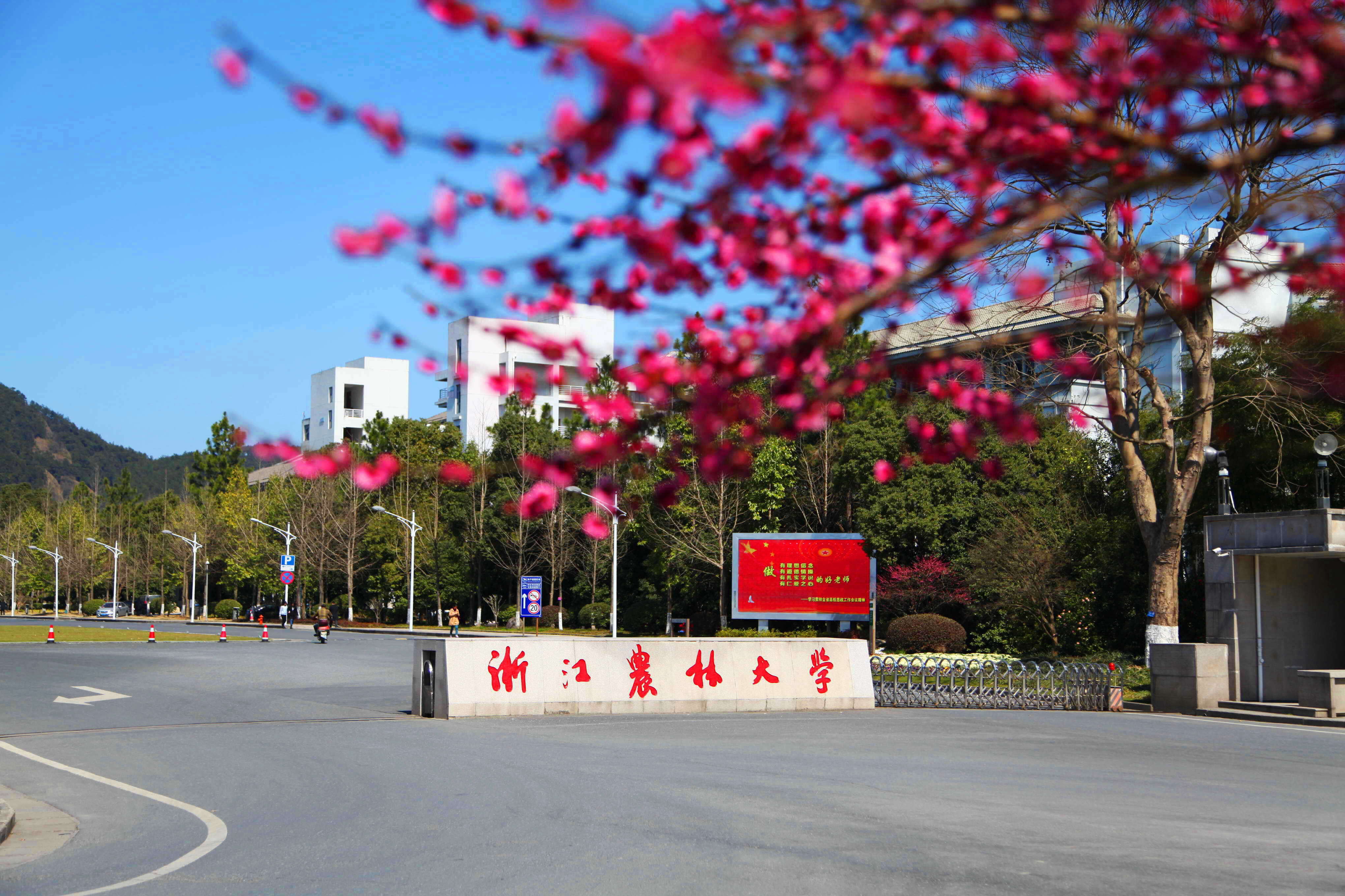 校园风光-浙江农林大学