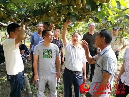 浙江农林大学师生暑期迎战高温科技支农在田间地头