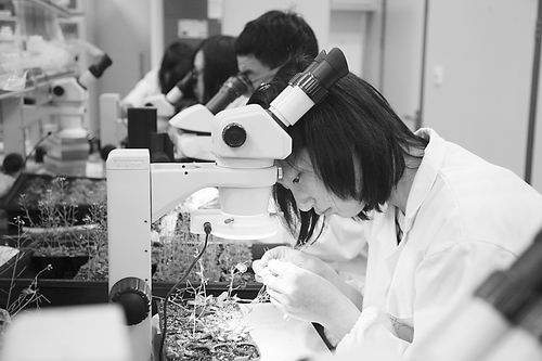 目前，虽然浙江农林大学早已放寒假，但是该校大部分实验室却还在照常开放，不少学生也都选择在寒假期间留在学校实验室里开展科研活动，希望通过参与相关专业的科学实验，增强专业素养、提升专业水平。