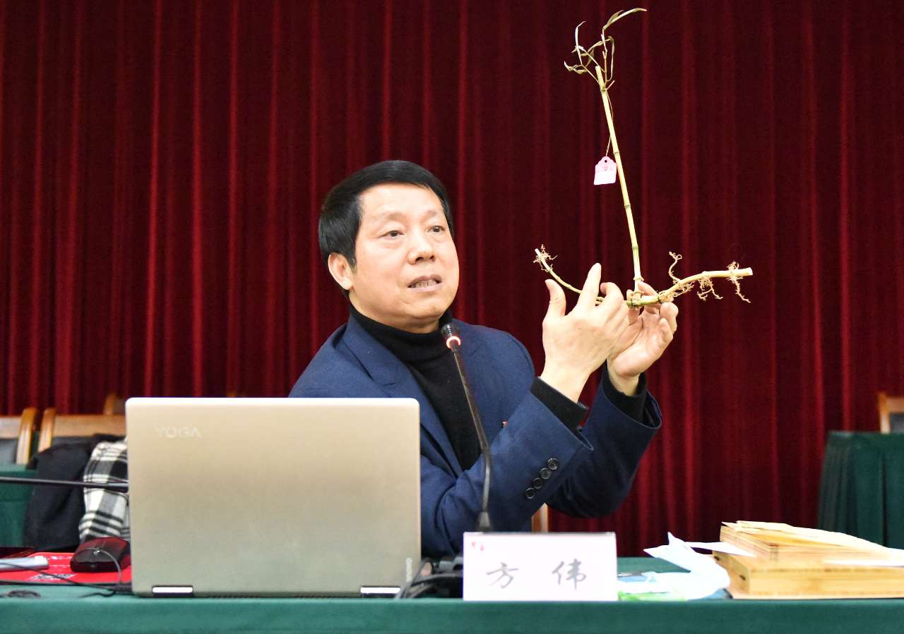 浙农林大:一根科技竹助力“绿水青山”转化为“金山银山”